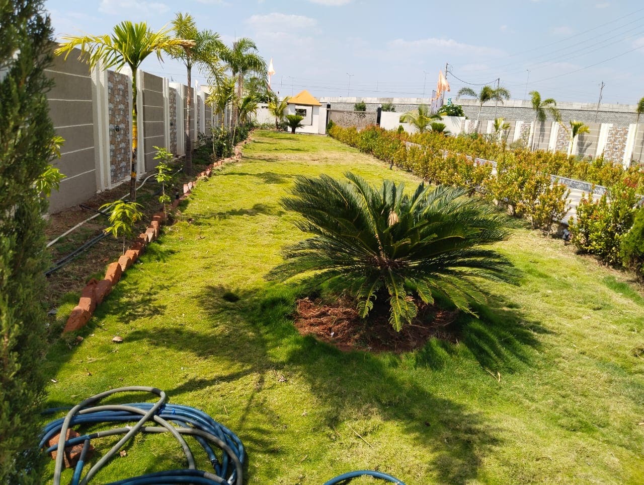 Garden project
